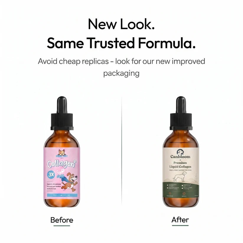 Canbloom Premium Liquid Collagen