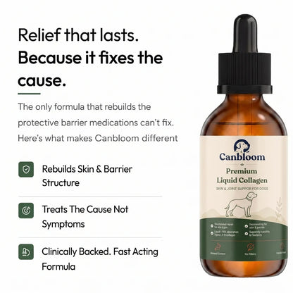 Canbloom Premium Liquid Collagen